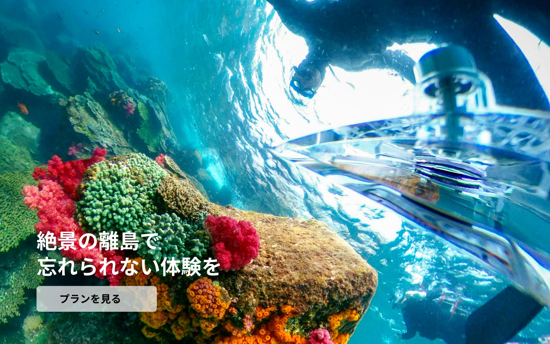 絶景の離島で ここでしかできない体験を プランを見る